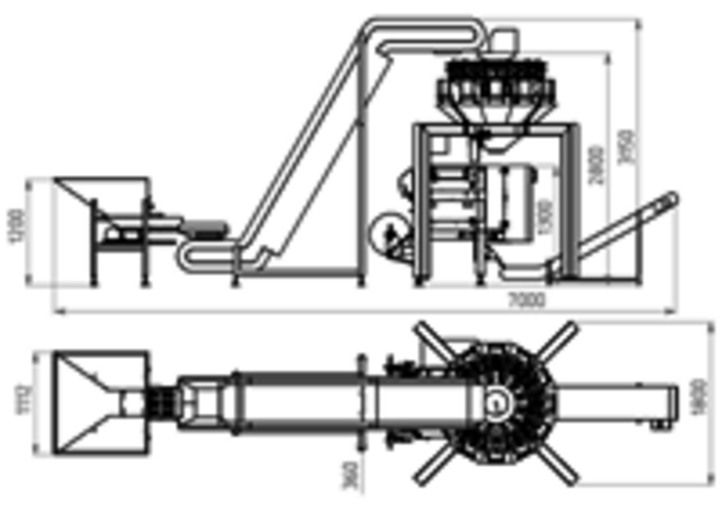 Línea de envasado de pelmeni
