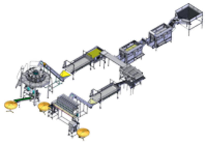 Línea de lavado, envasado de patatas y otras verduras