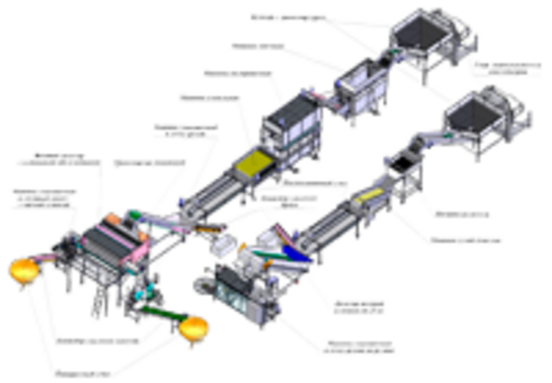 Línea multifuncional de lavado y envasado de verduras