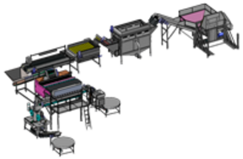 Línea de secado, lavado y envasado de patatas